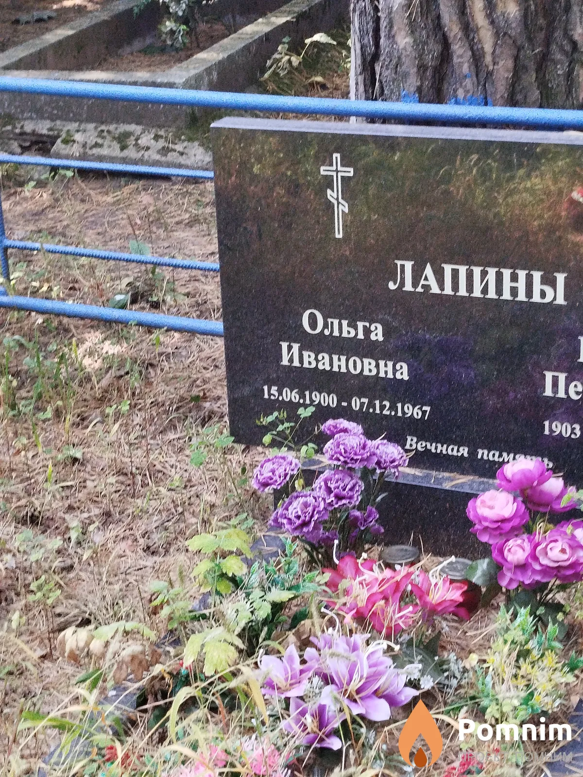 Лапина Ольга Александровна