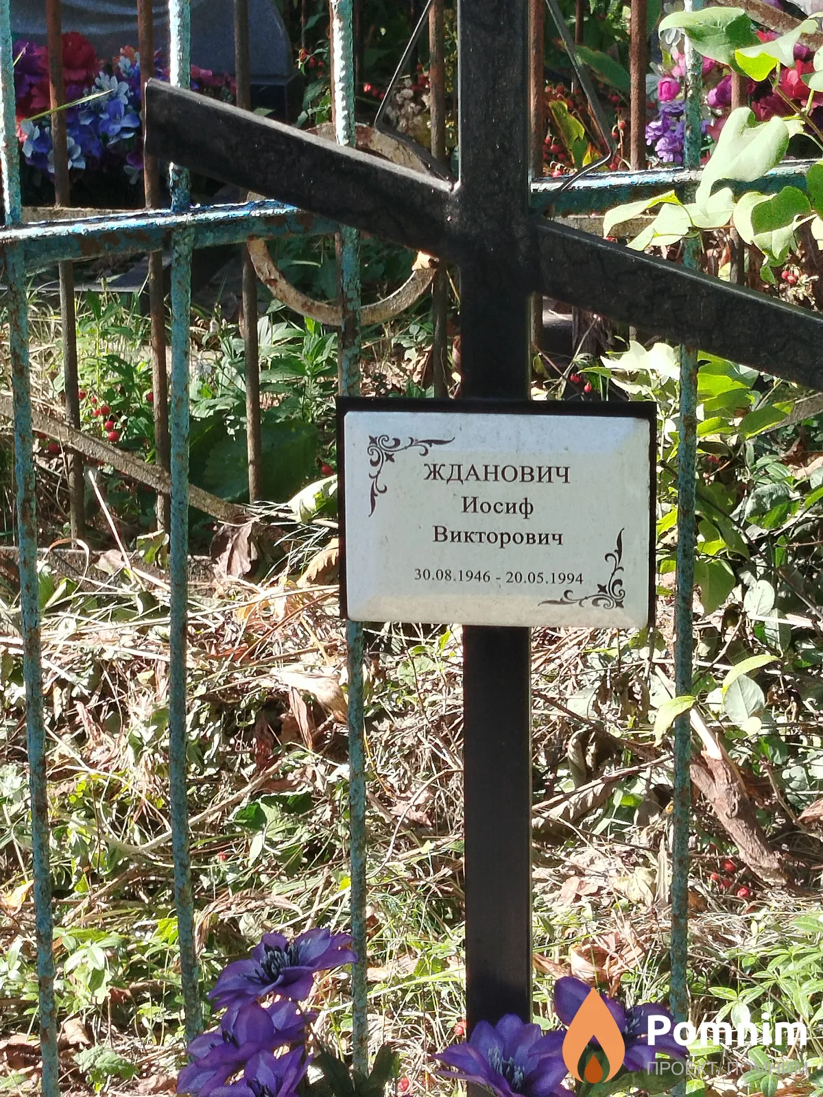 Жданович Иосиф Викторович