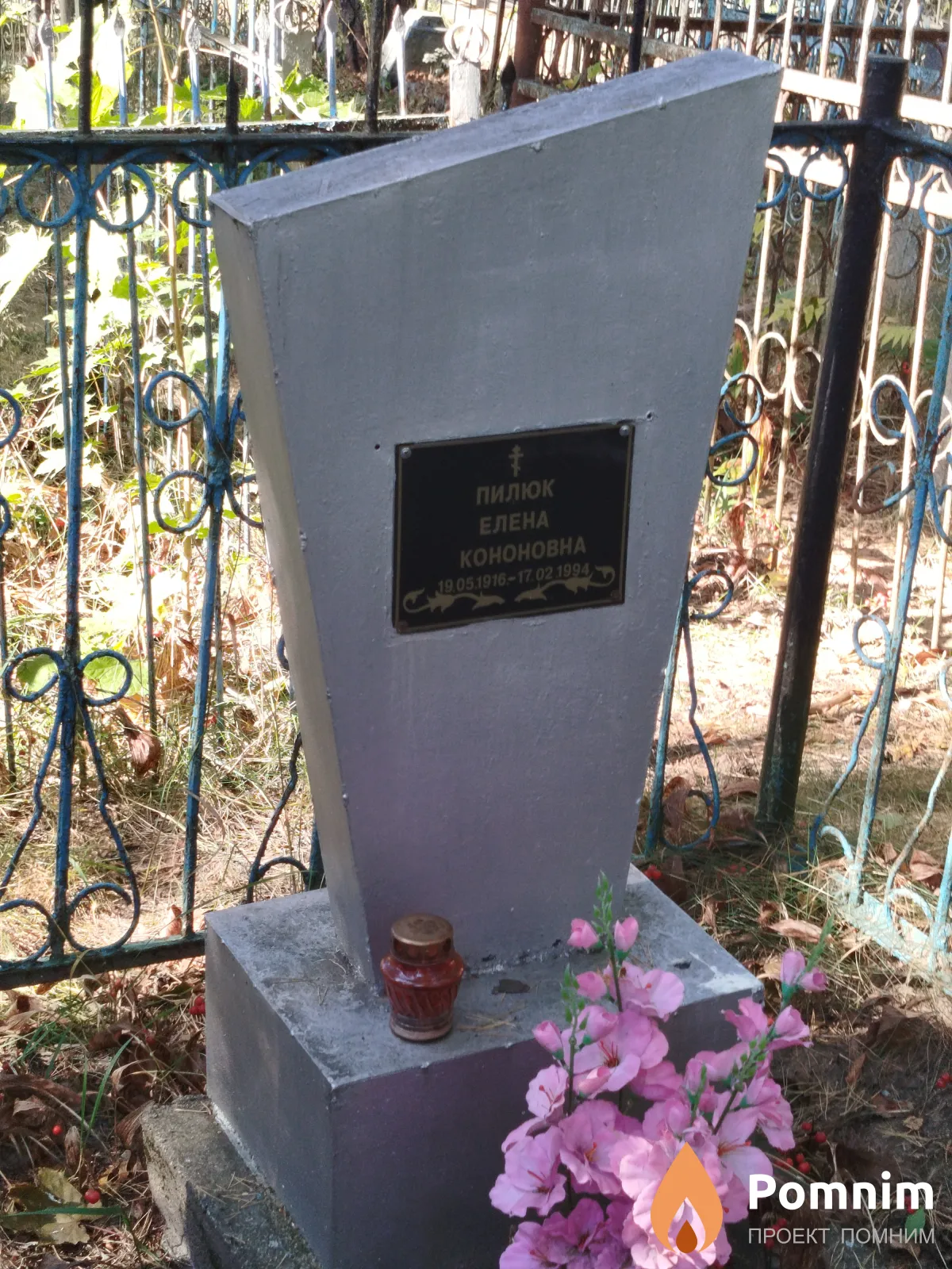 Пилюк Елена Кононовна