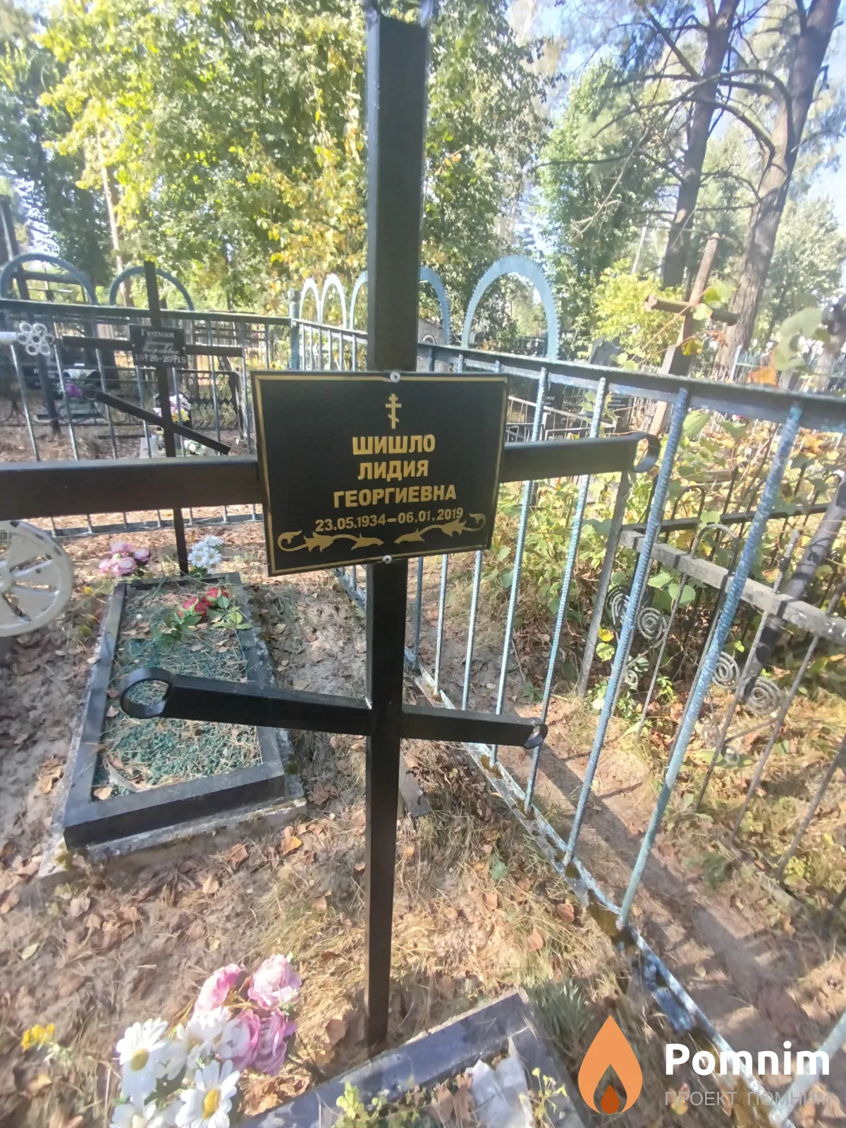 Шишло Лидия Георгиевна