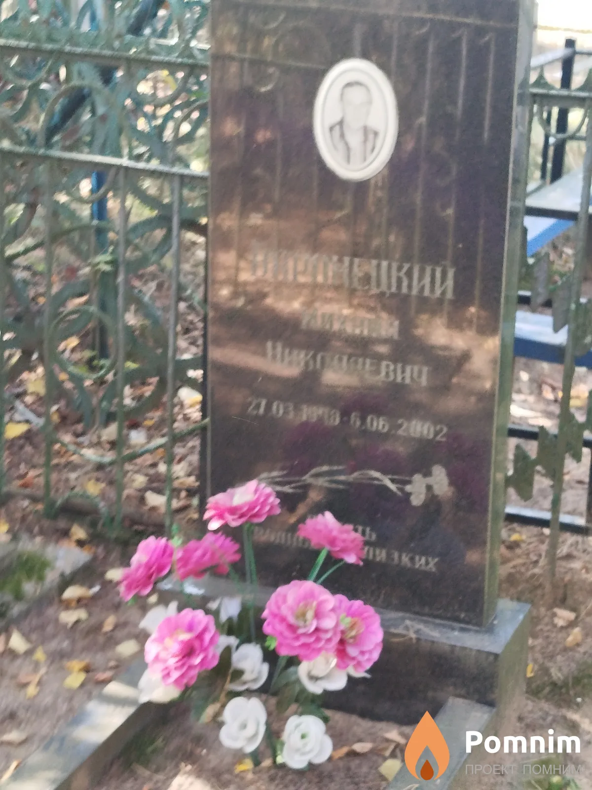 Воронецкий Михаил Николаевич