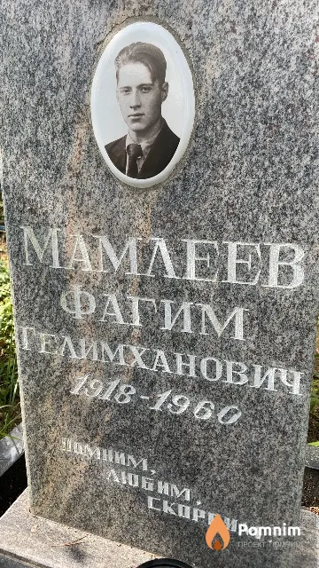 Мамлеев Фагим Гелимханович