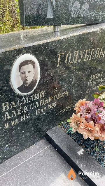 Голубев Василий Александрович