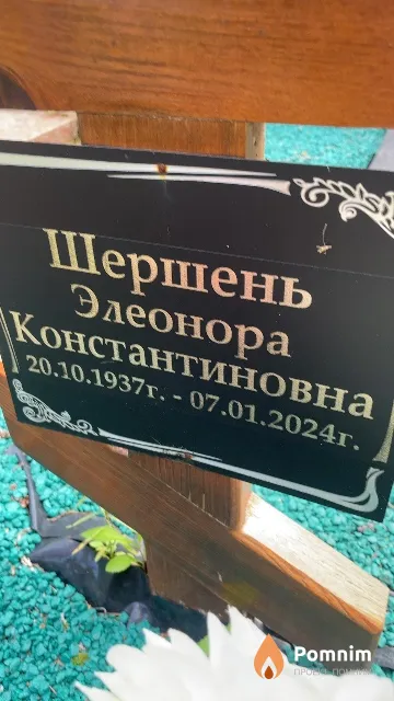 Шершень Элеонора Константиновна