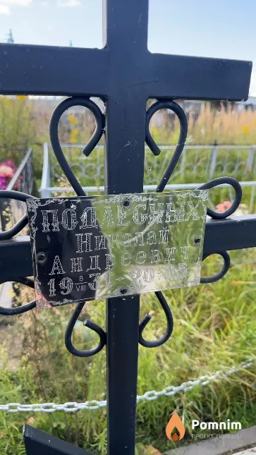 Подлесных Николай Андреевич