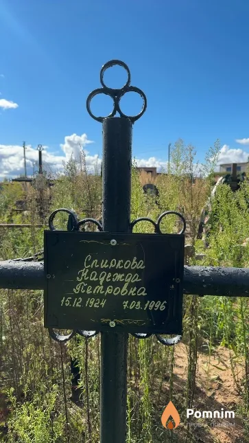 Спиркова Надежда Петровна
