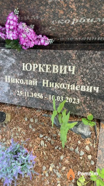 Юркевич Николай Николаевич