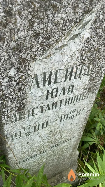 Лисица Юлия Константиновна