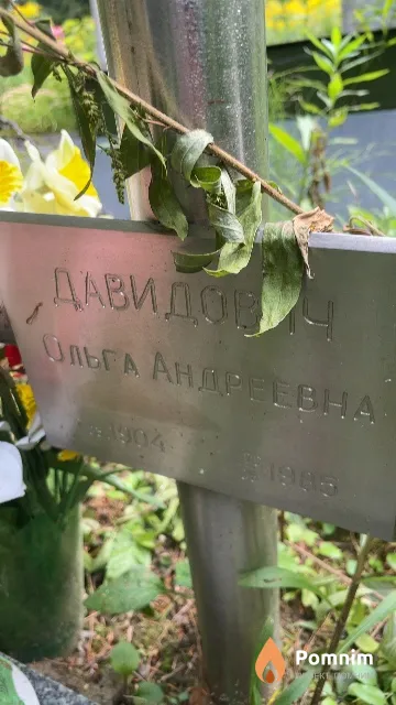 Давидович Ольга Андреевна