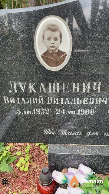 Лукашевич Виталий Витальевич