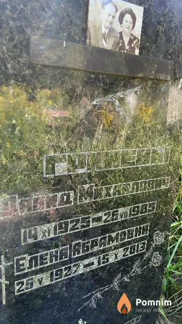 Гринев Давид Михайлович