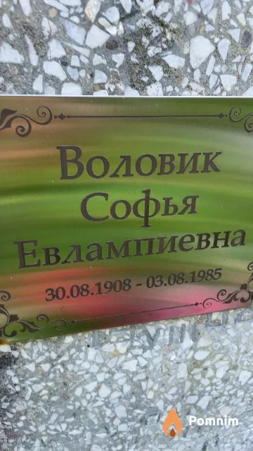 Воловик Софья Евлампиевна