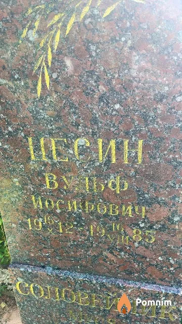 Цесин Вульф Иосифович