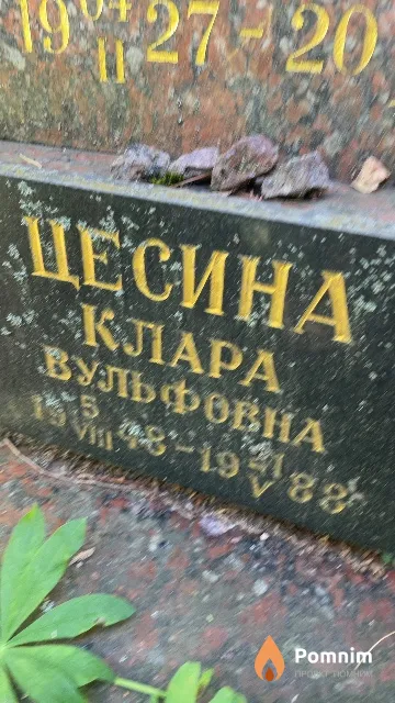 Цесина Клара Вульфовна