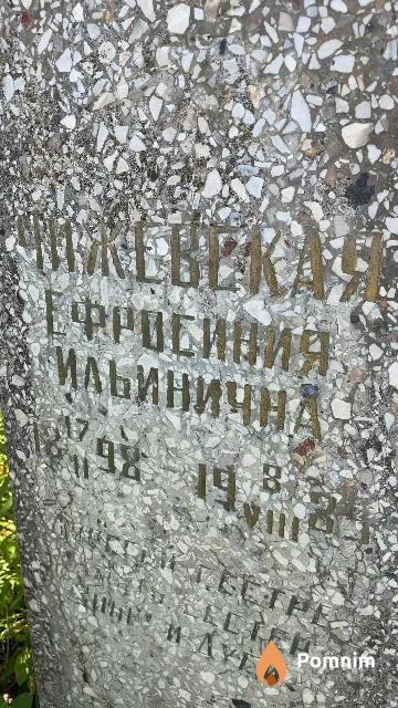 Чижевская Ефросиния Ильинична