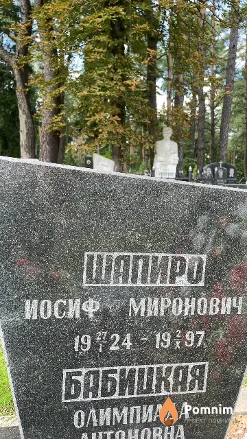 Шапиро Иосиф Миронович