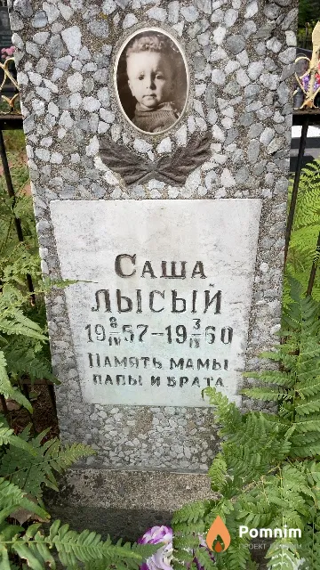 Лысый Саша
