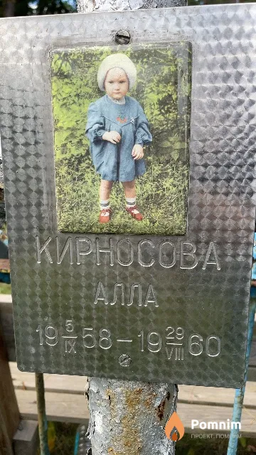 Кирносова Алла