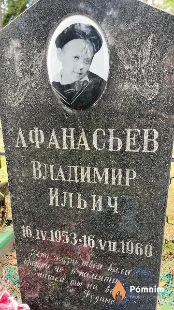 Афанасьев Владимир Ильич
