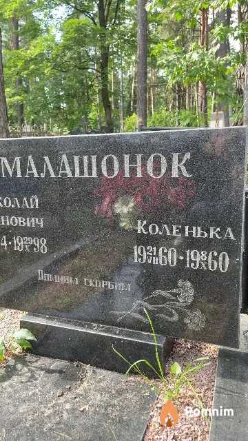 Малашонок Коленька
