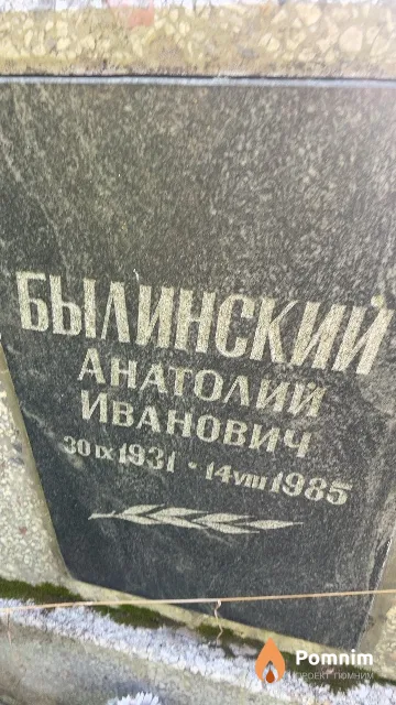 Былинский Анатолий Иванович