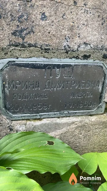 Луш Ирина Дмитриевна