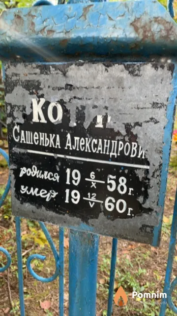 Котик Сашенька Александрович