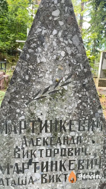 Мартинкевич Александр Викторович