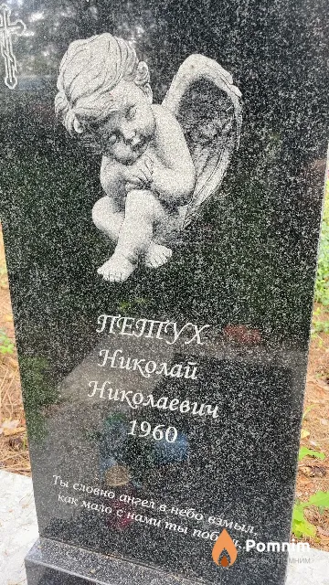 Петух Николай Николаевич