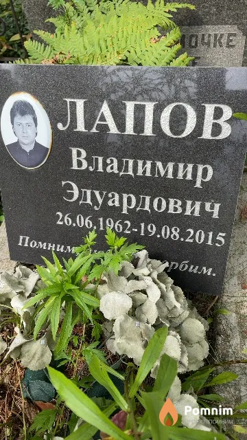 Лапов Владимир Эдуардович