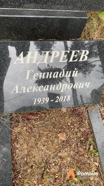 Андреев Геннадий Александрович