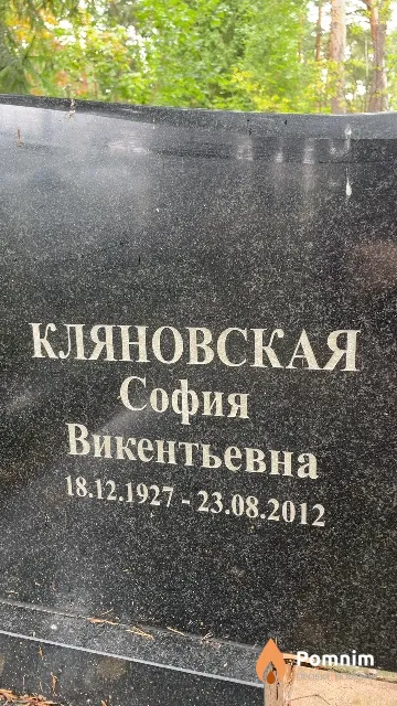 Кляновская София Викентьевна