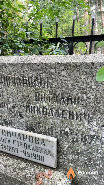Гончаров Виталий Пиколаевич