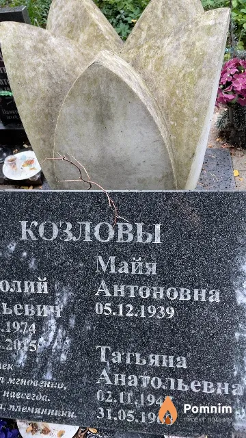 Козлова Татьяна Анатольевна