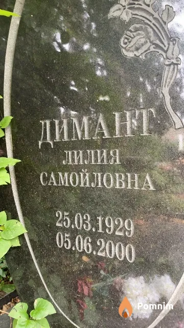 Димант Лилия Самойловна