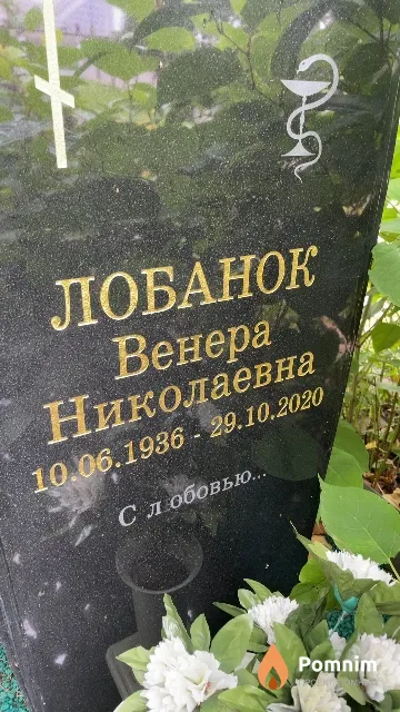 Лобанок Венера Николаевна