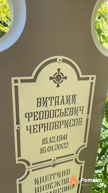 Чернобрисов Виталий Феодосьевич