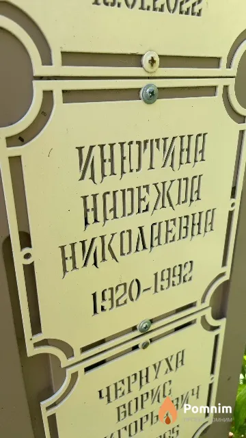 Инютина Надежда Николаевна