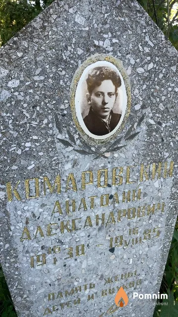 Комаровский Анатолий Александрович