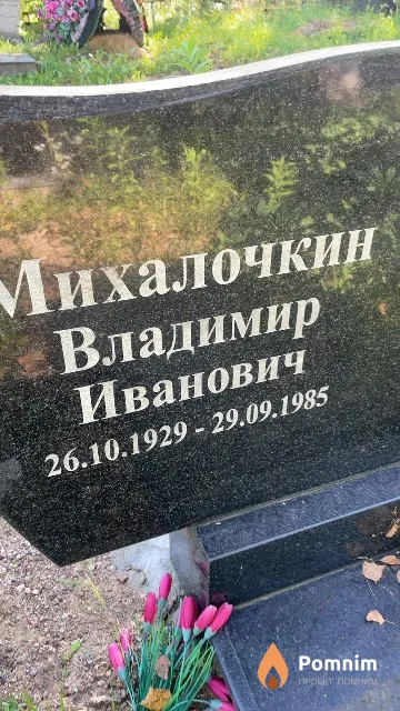 Михалочкин Владимир Иванович