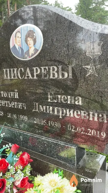Писарева Елена Дмитриевна
