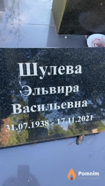 Шулева Эльвира Васильевна