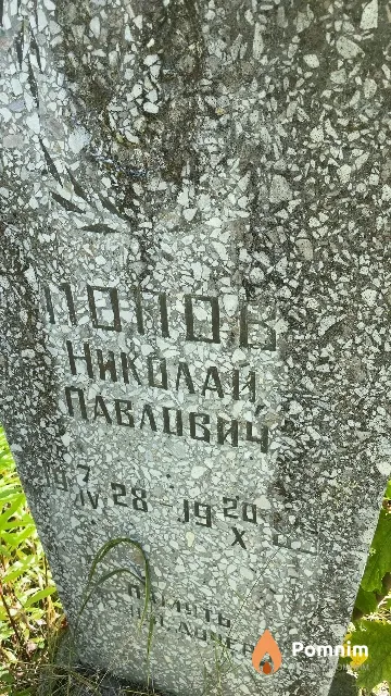Попов Николай Павлович