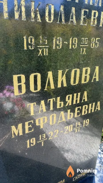 Волкова Татьяна Мефодьевна