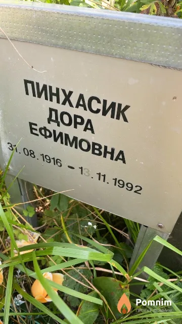 Пинхасик Дора Ефимовна