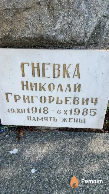 Гневка Николай Григорьевич