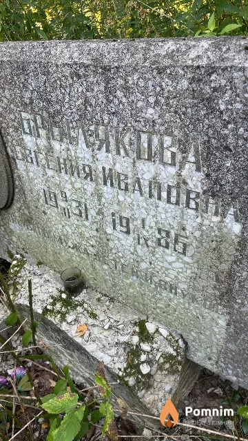 Брылякова Евгения Ивановна