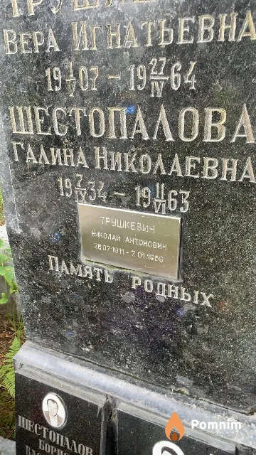 Шестопалова Галина Николаевна