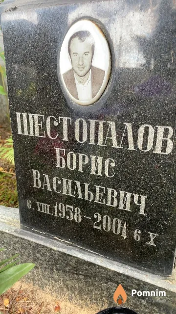 Шестопалов Борис Васильевич