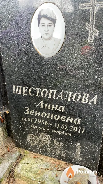Шестопалова Анна Зеноновна